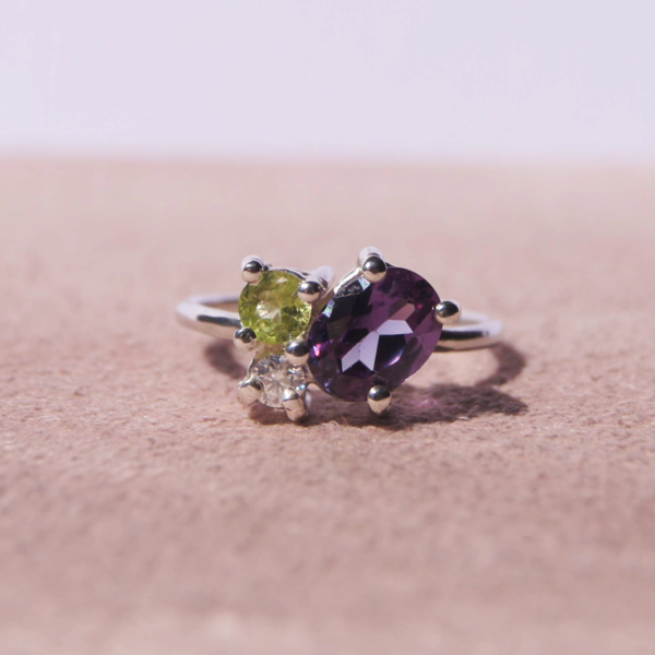 Family Ring - Image 2
