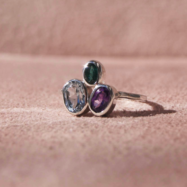 Family Ring - Image 4